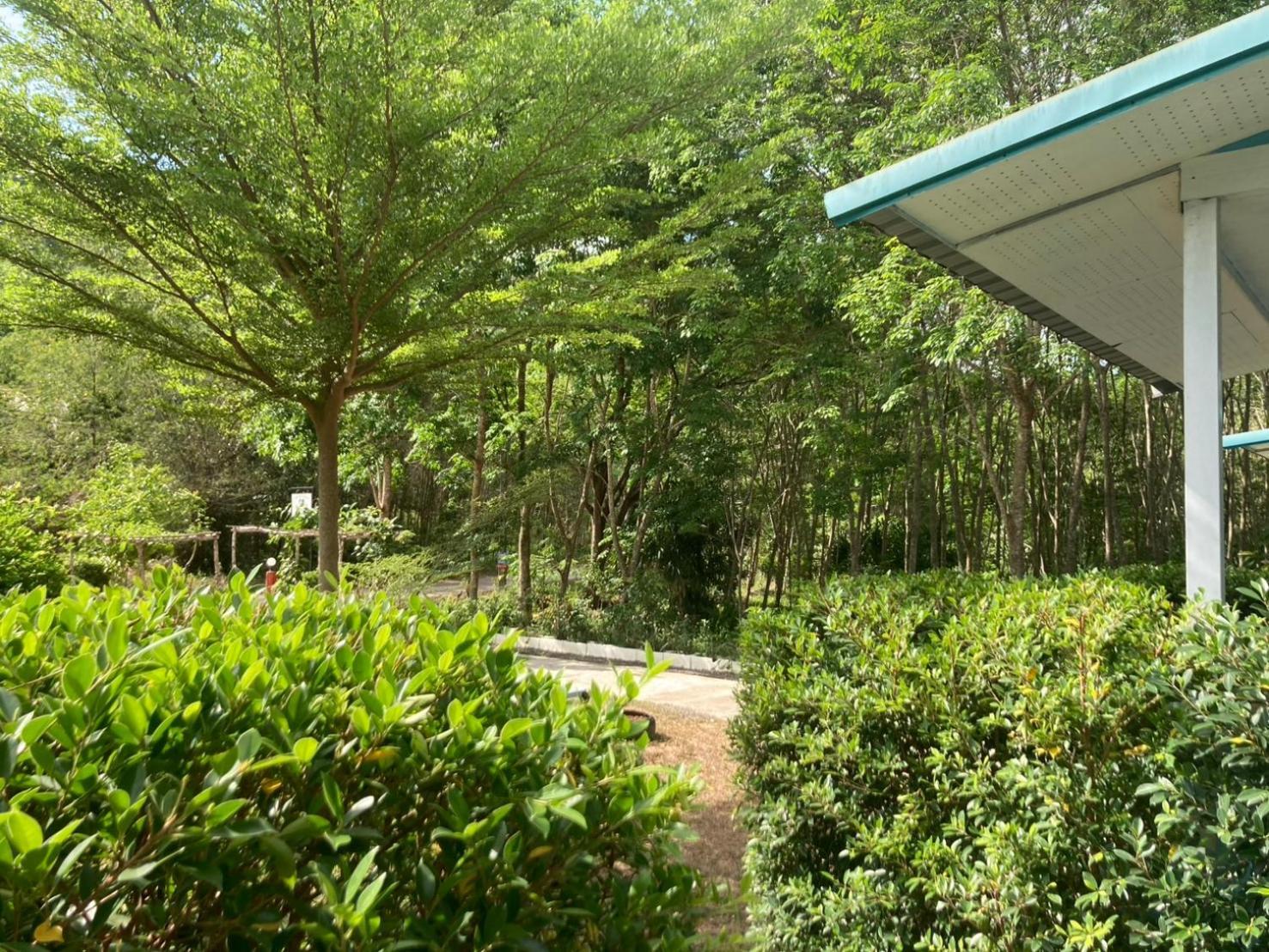 Baan Seefa Homestay Kohyaoyai Ko Yao Exteriér fotografie